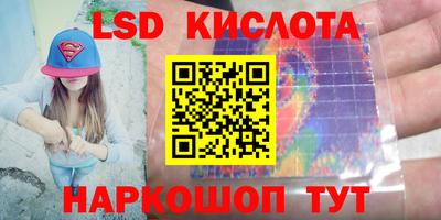спиды Камышлов