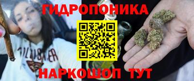 спиды Камышлов