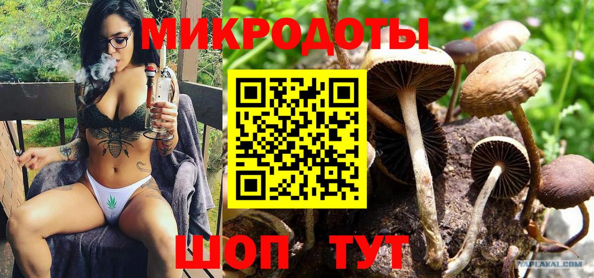 Галлюциногенные грибы Magic Shrooms  Вход с VPN  Псилоцибиновые грибы MAGIC MUSHROOMS  Киселёвск 